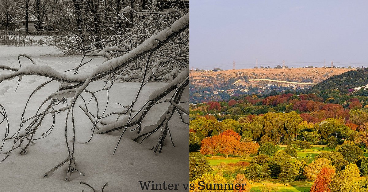 Winter vs Summer nutritional shifts